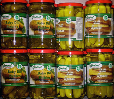 grocery-pickles.jpg